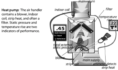 DnFloCtawy-2.jpg
