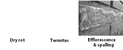 HealthSafety00008.jpg